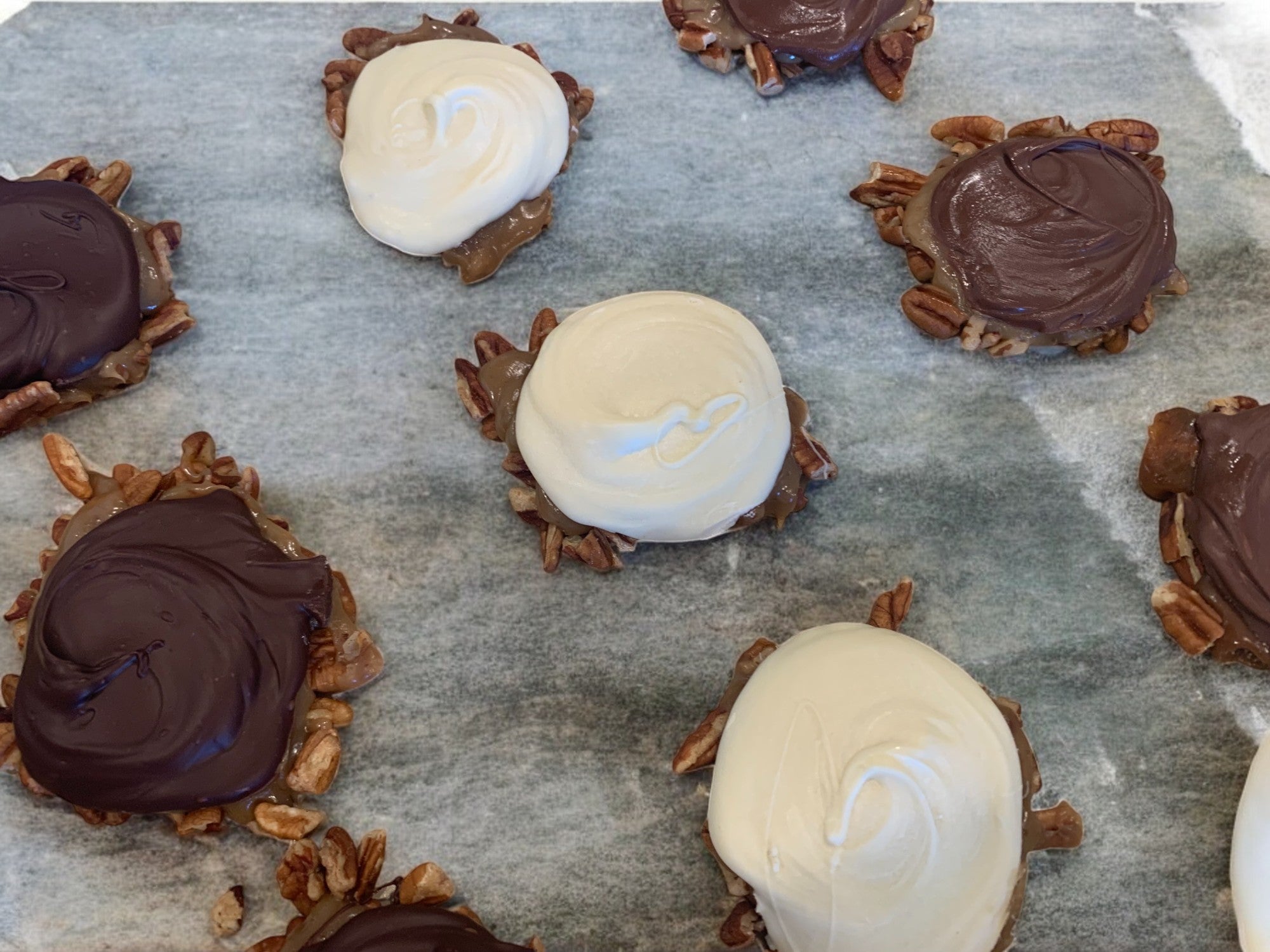 Tortue Trio on Gray Slab